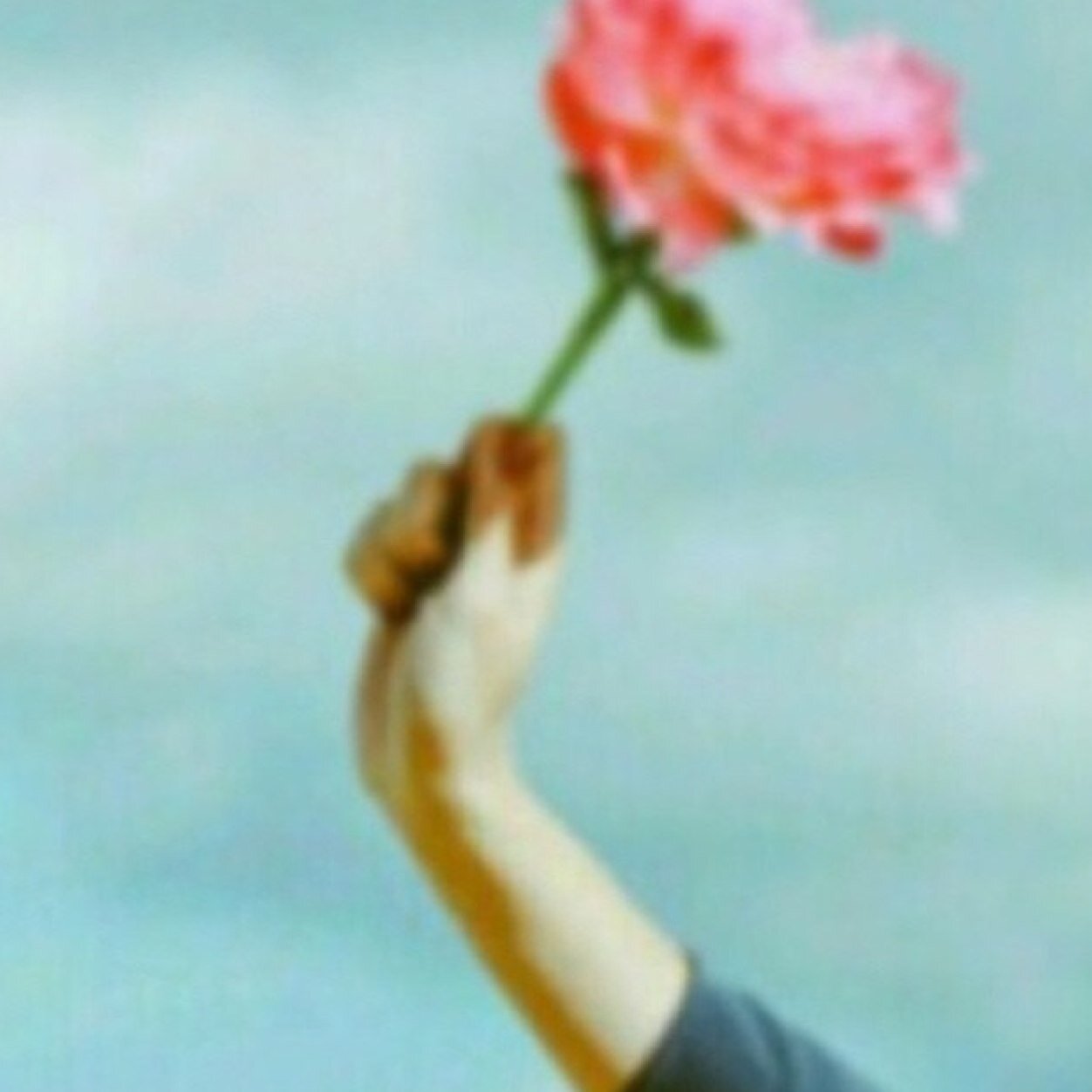 علاج طبيعي، نباتات، كتب ، رياضة وكُل ما أُحب 🤍🌱