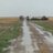 FarmsTaltd's profile image