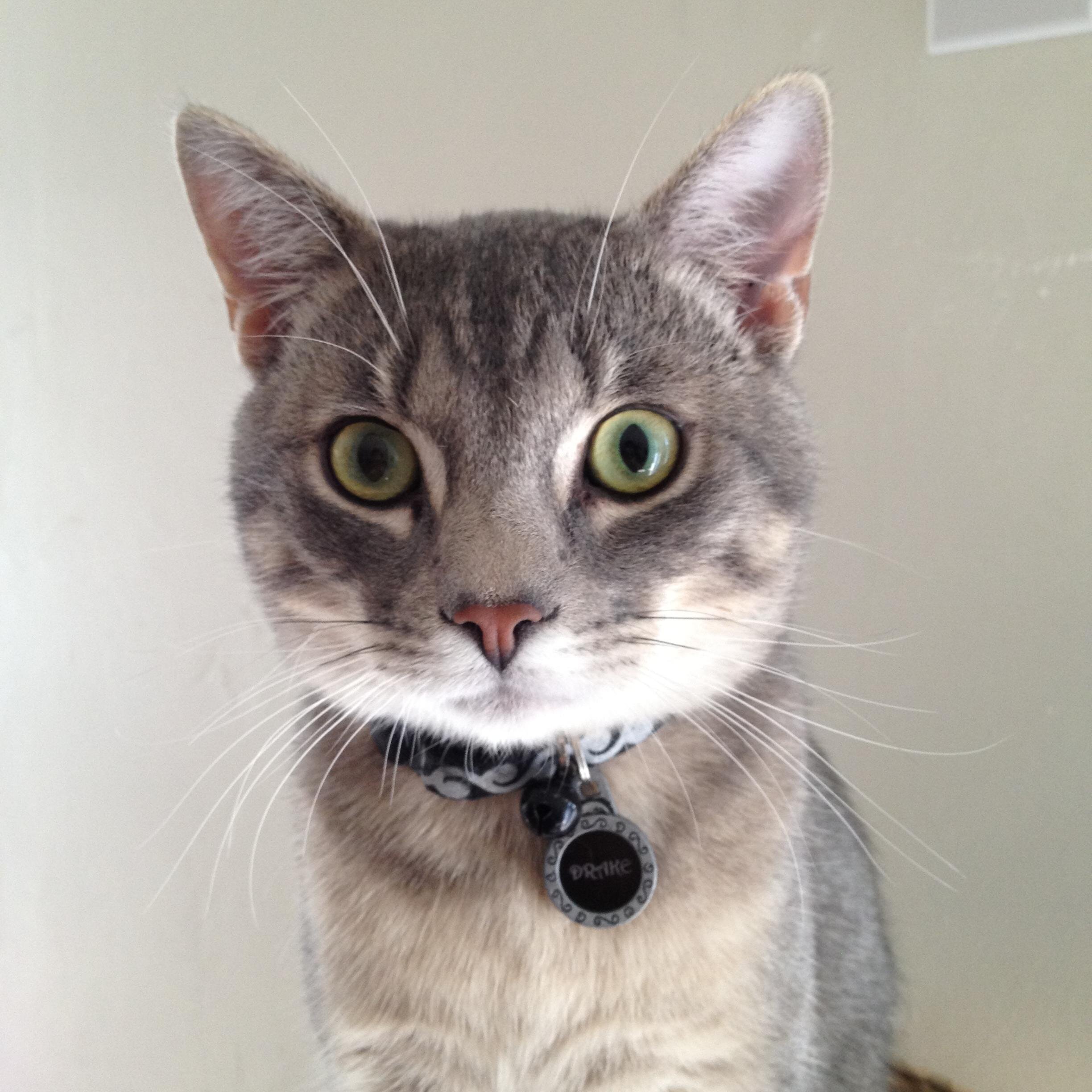 byond's profile picture. 