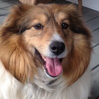 Katherine Endicott (@endicottk) 's Twitter Profile Photo Katherine Endicott (@endicottk) 's Twitter Profile Photo