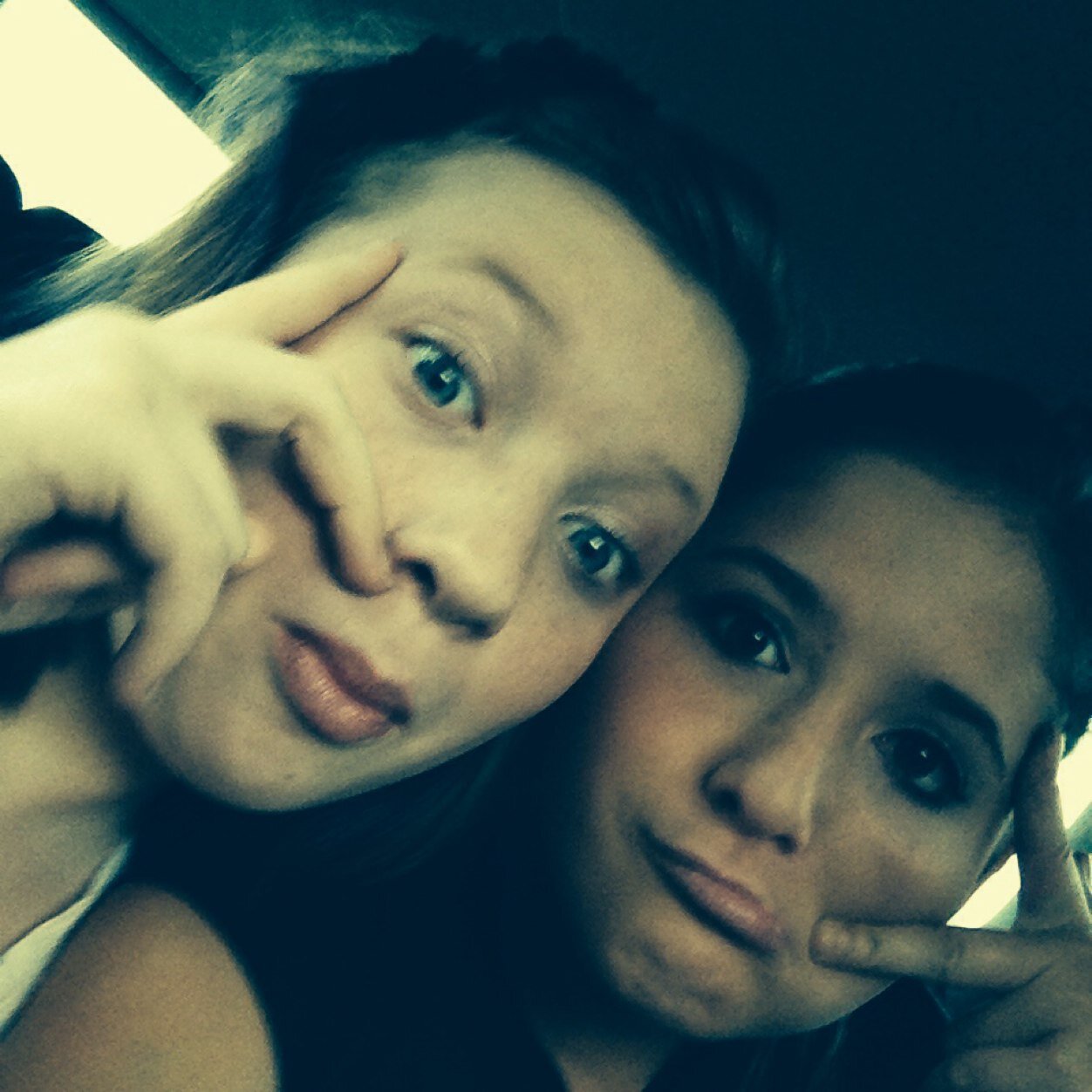 musicobsessed91's profile picture. Imsomniac in training  I LOVE CATS follow for follow STAY CLASSY!!!!!