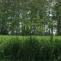 Solmy EV (@solmye) 's Twitter Profile