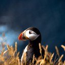 ablisslife's profile picture. 