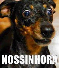 Beta19Douglas's profile picture. 