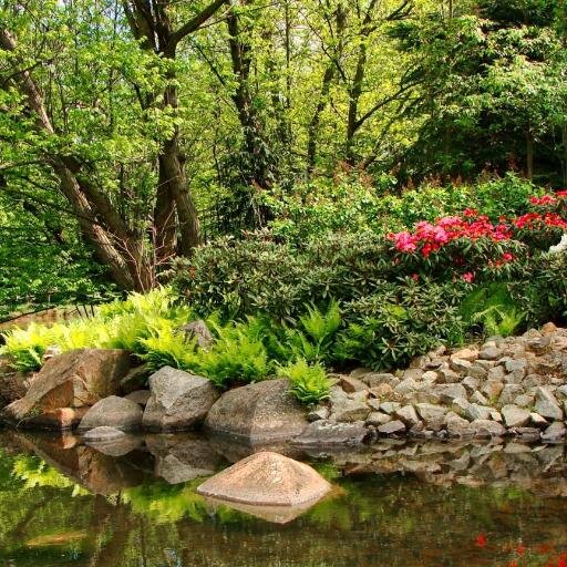 WilkinsonHelen's profile picture. 