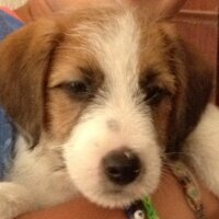 max (@maxvtw) 's Twitter Profile