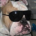 DaisyFitLA - @DaisyLAX - Twitter