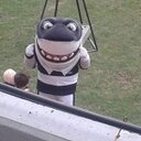 wendy gilder - @GilderWendy - Twitter