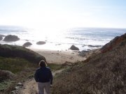 lisadorschner's profile picture. 