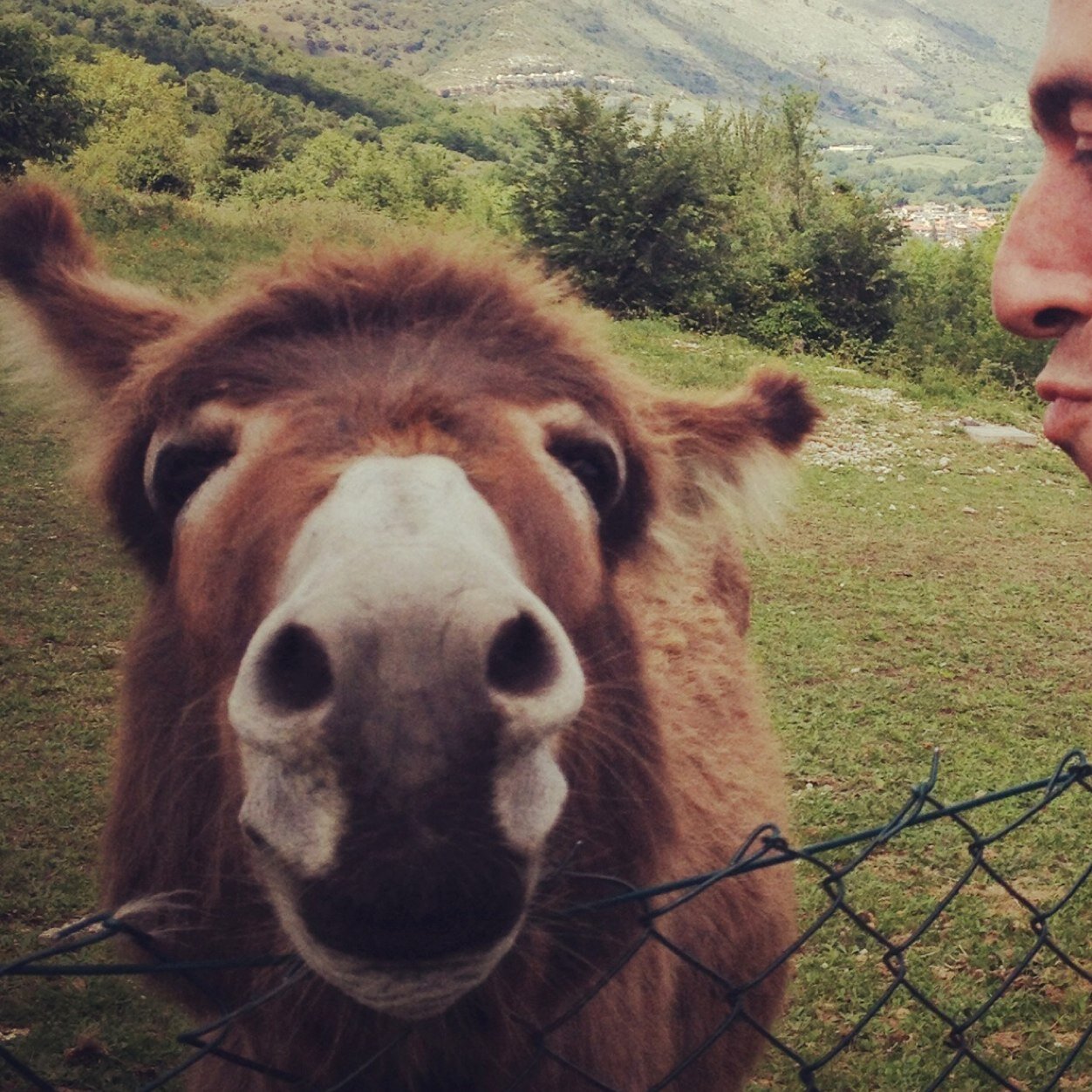 odiatwitr10's profile picture. 