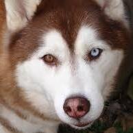 96348's profile picture. 