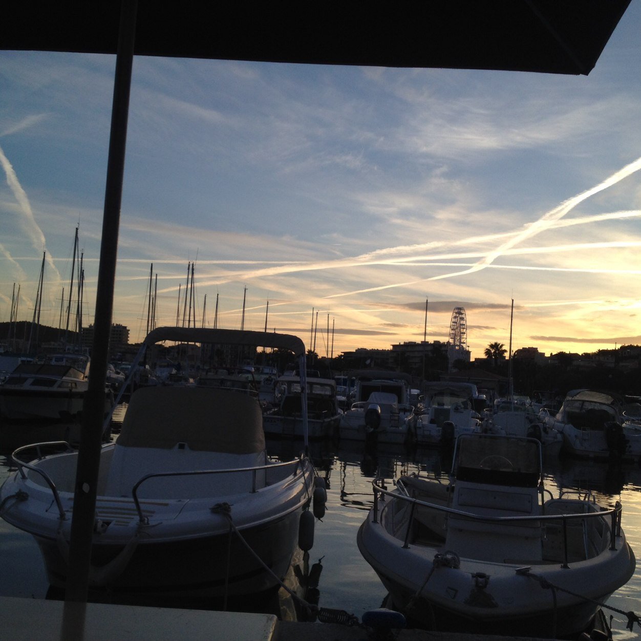 danmancuso4's profile picture. 