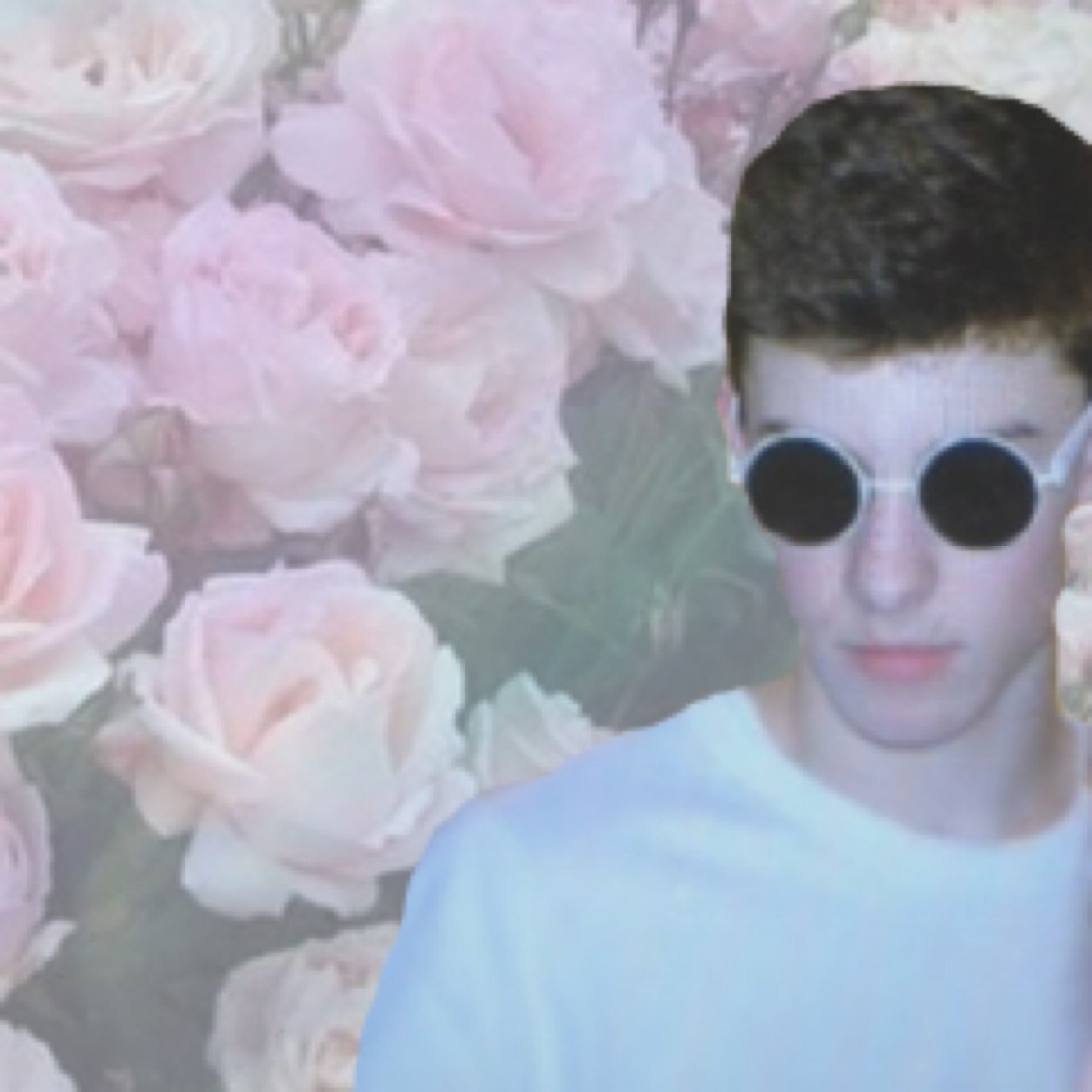 100% follow back ♛ Shawn❤️