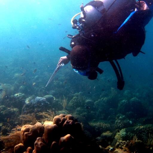 http://t.co/yjKiA6N5Ys | life after life | marine | ecotourism