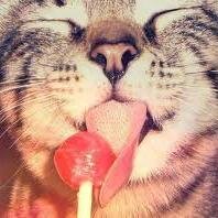 B0TNETZ's profile picture. ### HITLIST ###                                               http://t.co/932YAKXO2F # http://t.co/Jg4L4rGR61
