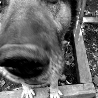 MaxC15's profile picture. 