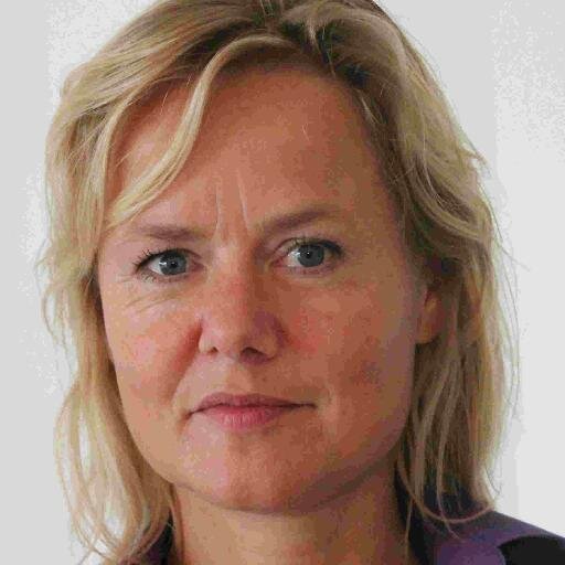Consumer insight, marketing strategy and innovation in sustainability