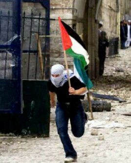 wisnutriantoro's profile picture. Cintailah juventus sama seperti mencintai kekasih!!AntiPati Terhadap Fans club liga italia KECUALI JUVENTUS !! HARGA MATI UNTUK JUVE !!!