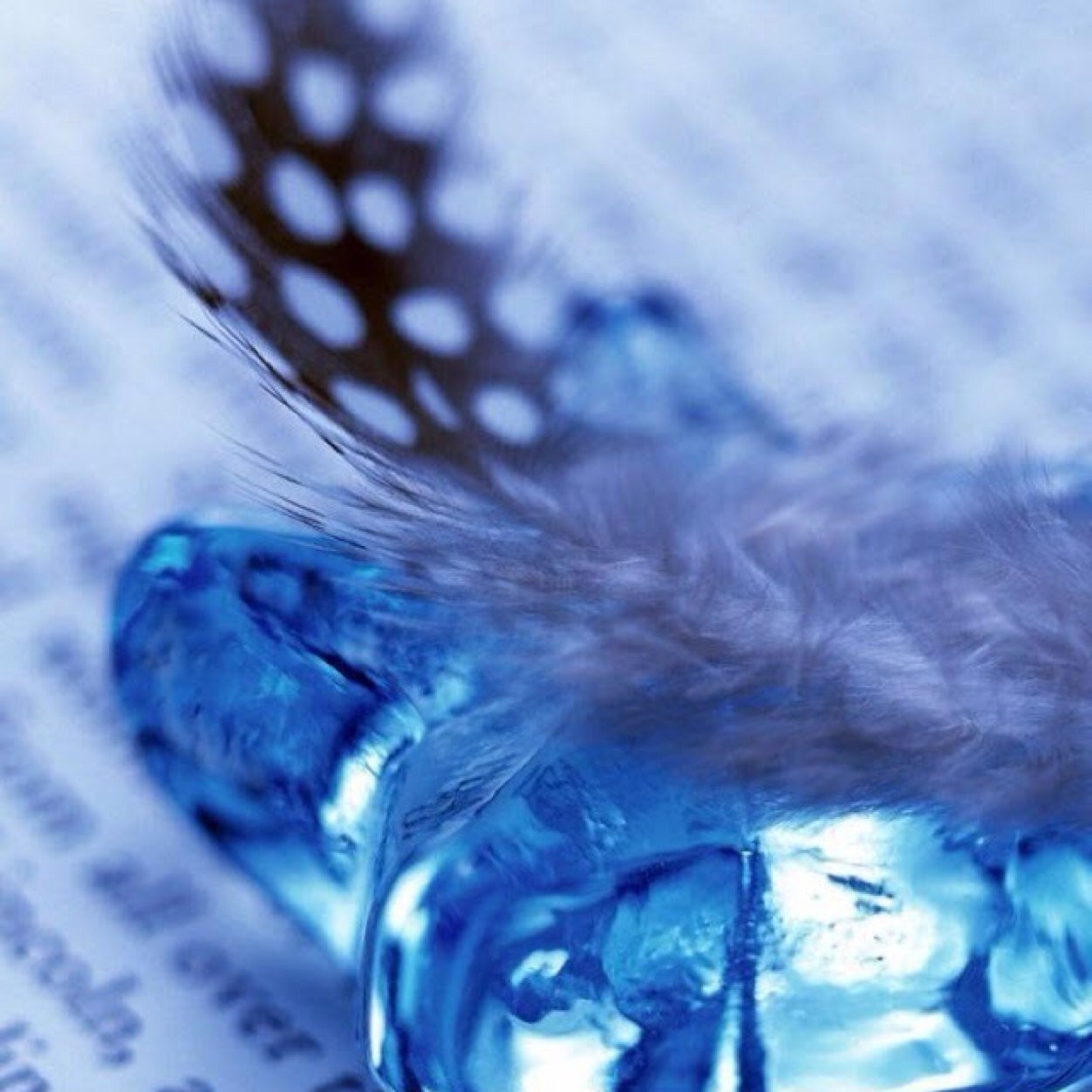 DeannaHussain's profile picture. 