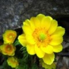 당당하고여유있게그리고늘미소를잃지말자