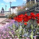 Marina Buck - @Madizzie3000 - Twitter