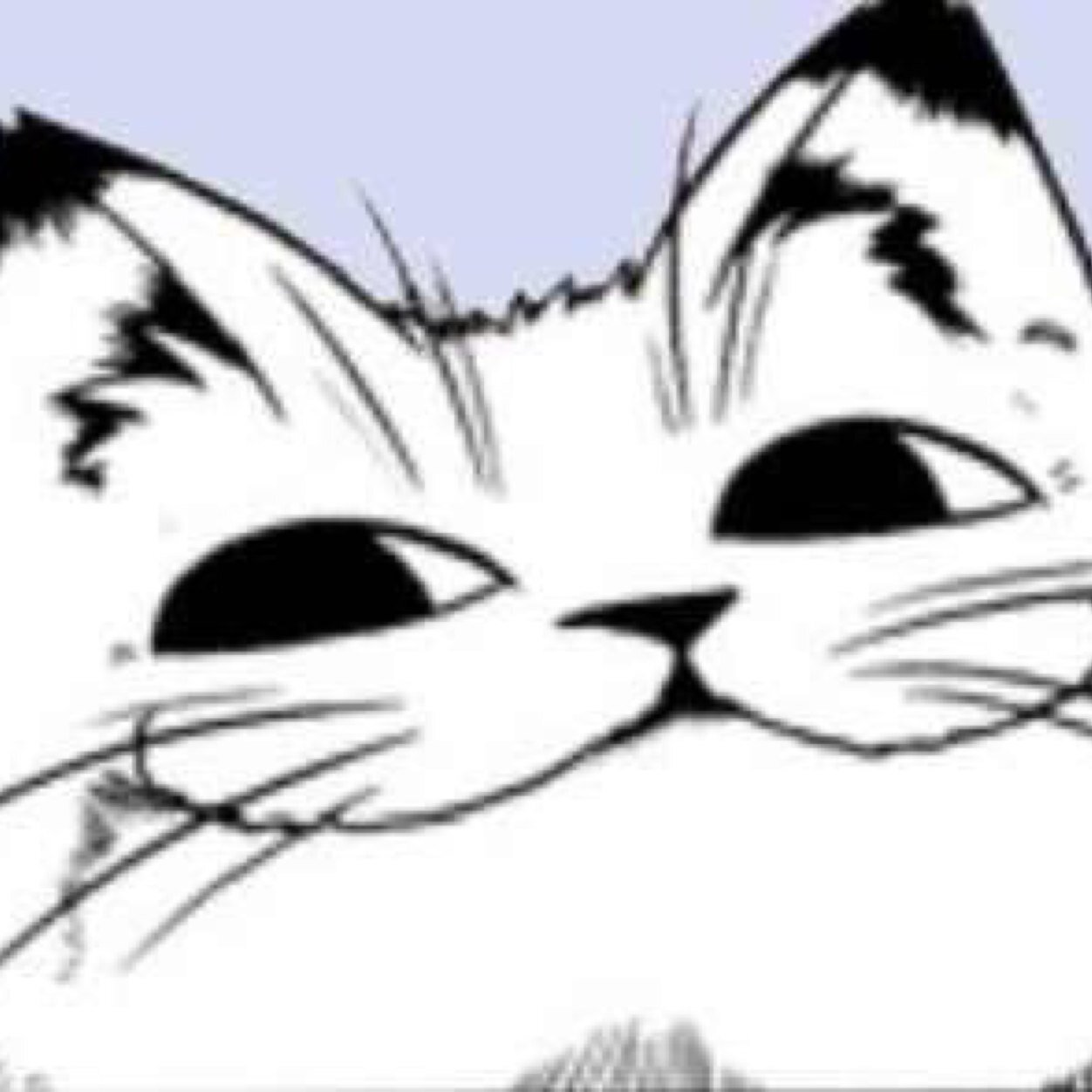 sky1ex's profile picture. 