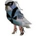 feathers and wings (@feathersareus) Twitter profile photo feathers and wings (@feathersareus) Twitter profile photo