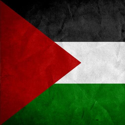 Cuenta creada con el único objetivo de informar sobre la opresión y el robo que sufre Palestina.
https://t.co/FBk1NZ4TNd //
https://t.co/PHjjAsmp2D