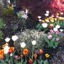 Lloyd Lane - @Lloydsoflawndon - Twitter