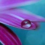 successfulbeing's profile picture. Being Successful is an endeavor to highlight the difference between achieving success and living success and paths leading them.