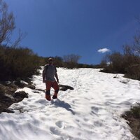 Jorge Rodríguez (@jotapunto) 's Twitter Profile