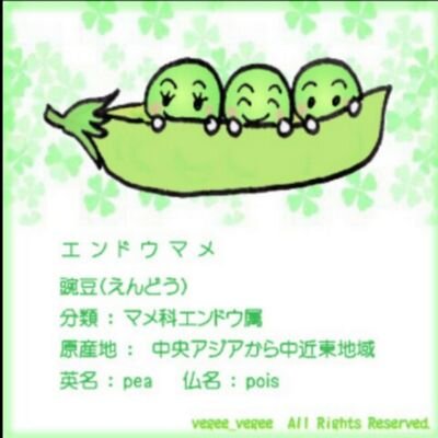 えんどう豆君 Kkawada1004 Twitter