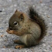 tuba gundogmus (@tubagundogmus) Twitter profile photo