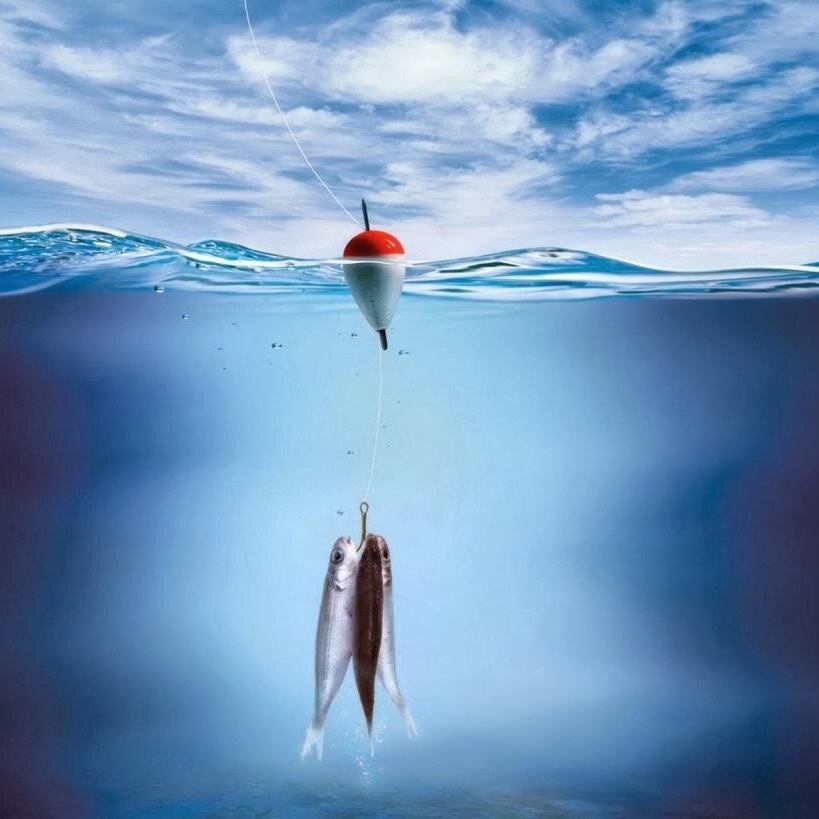 whmt123's profile picture. 