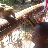 Tom Odula (@tomodula) 's Twitter Profile