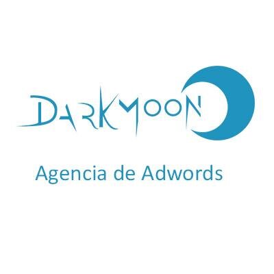 Agencia Partner de Google especializada al 100% en Adwords , caso de éxito en Google Engage Partners !