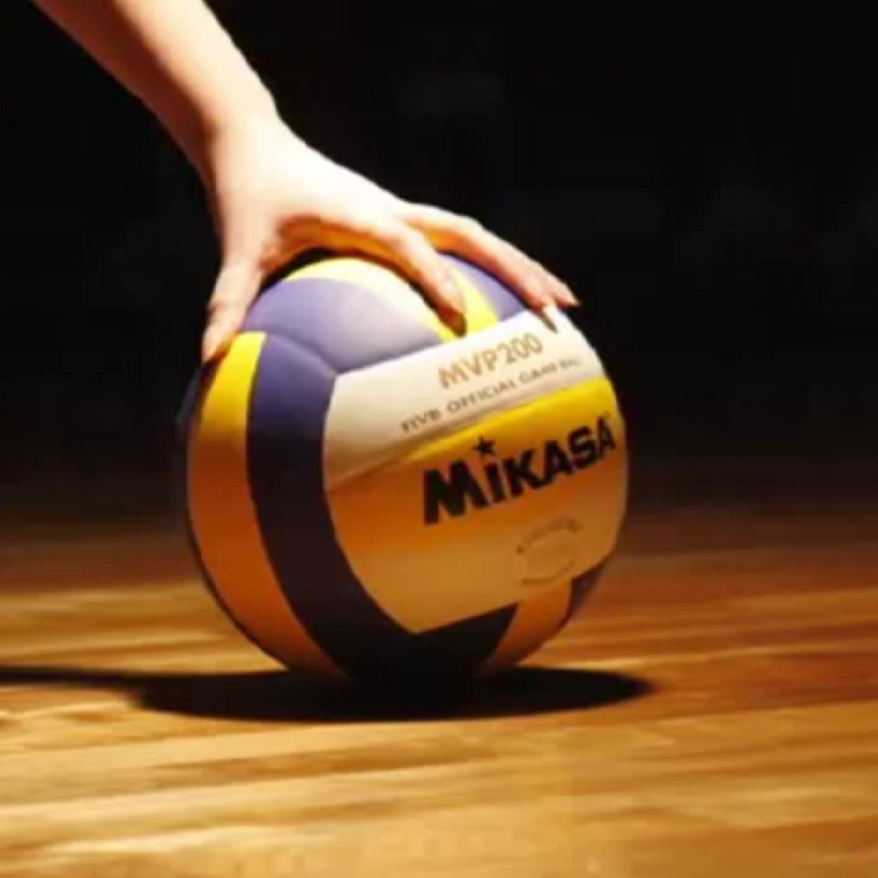 VolleyBall No.1