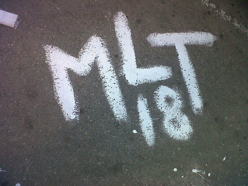 18+1 
+ Gent molt gran que no ens la volem llevar de damunt