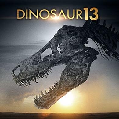 Dinosaur 13 is a documentary about the discovery of Sue, the largest T. rex fossil ever found, and the decade long battle to own her.