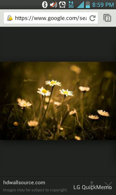 I own about a thousand flower crowns.