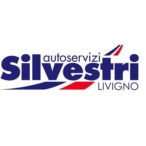 Autoservizi Silvestri effettua viaggi in tutta Europa, transferimenti da e per gli aeroporti e trasporto locale per turisti e sciatori di Livigno