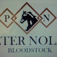 PeterNolanEquineLtd (@peternolanblds) 's Twitter Profile