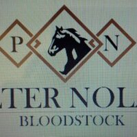 PeterNolanbloodstock(@peternolanblds) 's Twitter Profileg