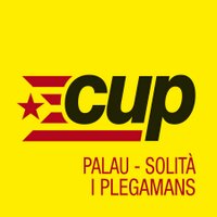 CUP Palau-solità i Plegamans (@cuppalausip) 's Twitter Profile Photo