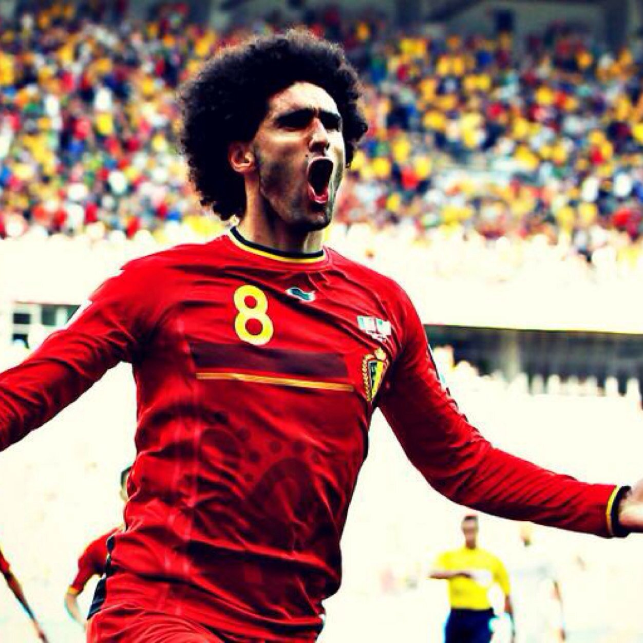 Funny facts about Marouane Fellaini
