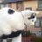 mani00541's profile image
