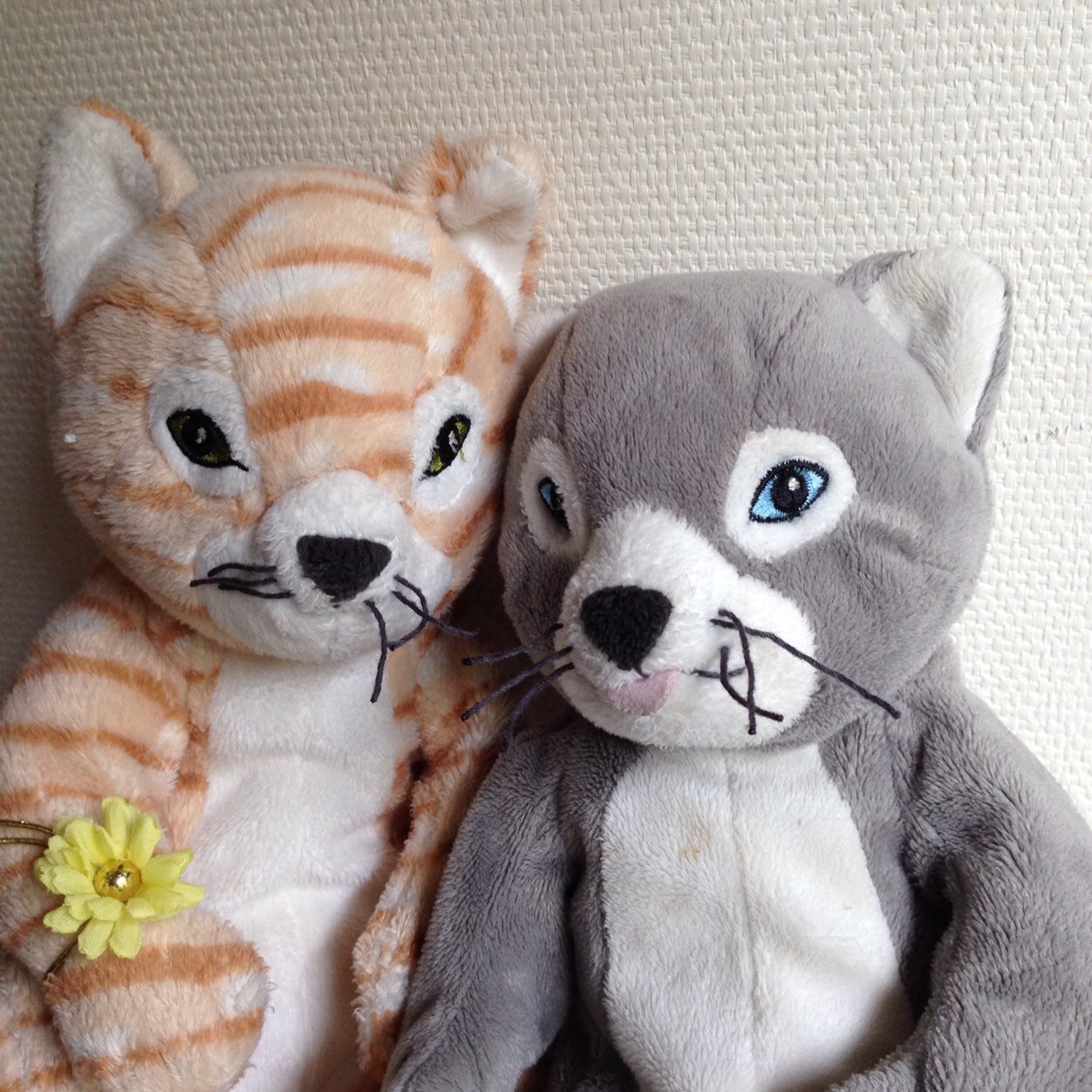 cocorincororin's profile picture. 