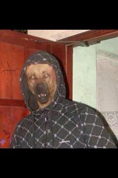 FIREBURN014's profile picture. I can accept failure, everyone fails at something. But I can't accept not trying!