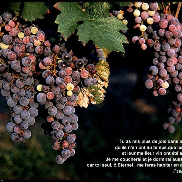 moimoipoi's profile picture. 