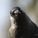 Dave Prins - @D__Prins - Twitter